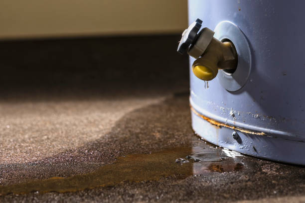 Best Sewage cleanup and water damage restoration  in Sangaree, SC