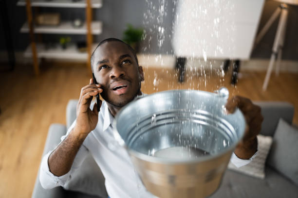 Best Residential water damage restoration  in Sangaree, SC