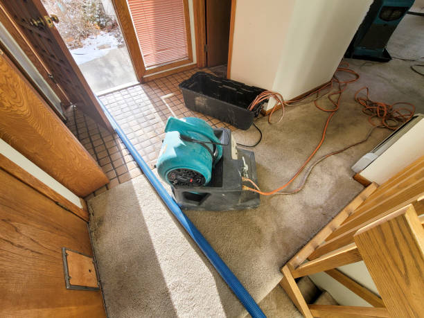 Best Flooded house restoration  in Sangaree, SC