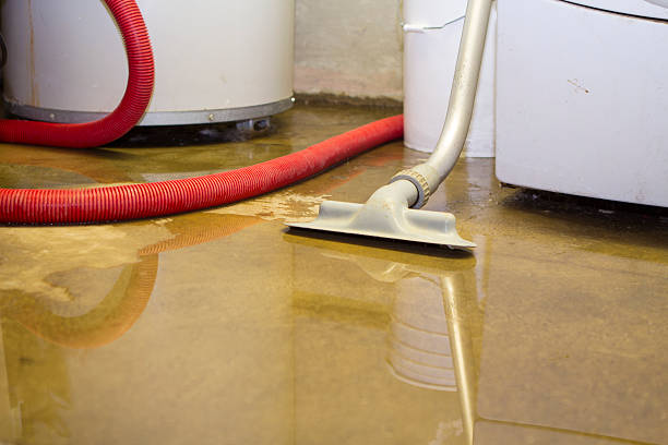 Best Carpet water damage restoration  in Sangaree, SC