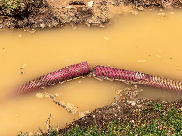 Best Emergency water damage restoration  in Sangaree, SC