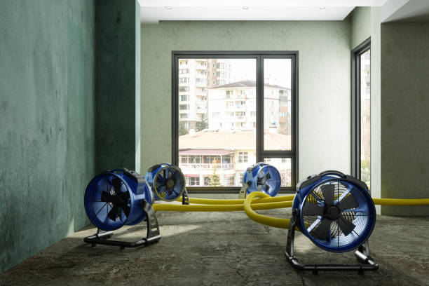 Best Mold removal after water damage  in Sangaree, SC