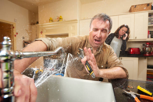 Best Fire Damage Restoration  in Sangaree, SC